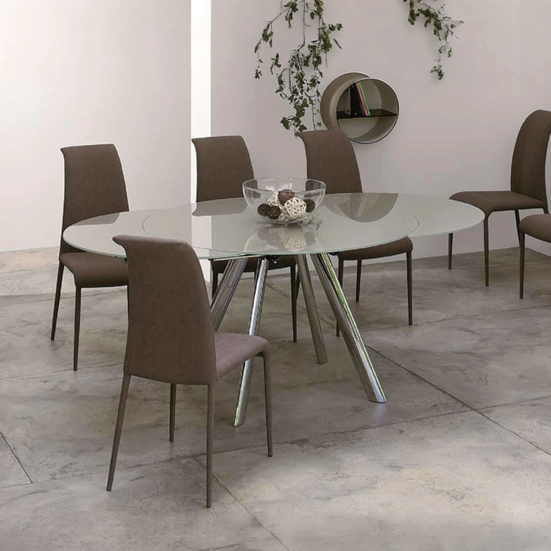 A modern dining room with an oval glass table, chrome legs, and six dark brown upholstered chairs. A decorative bowl sits on the table. A circular shelf and a plant adorn the white wall.