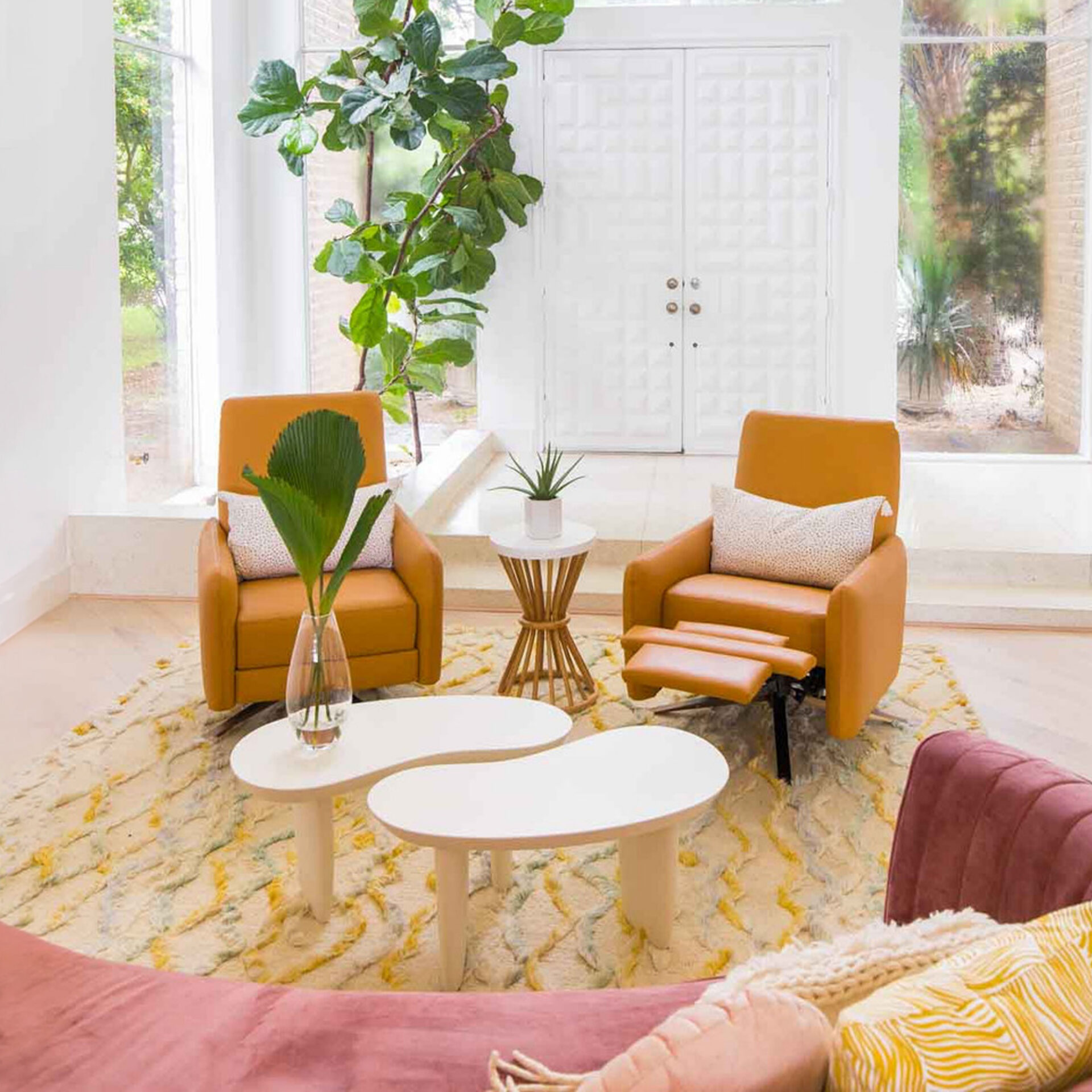 A bright modern living room with two mustard yellow recliners, a pink sofa, white coffee tables, and a large fiddle-leaf fig plant by floor-to-ceiling windows.