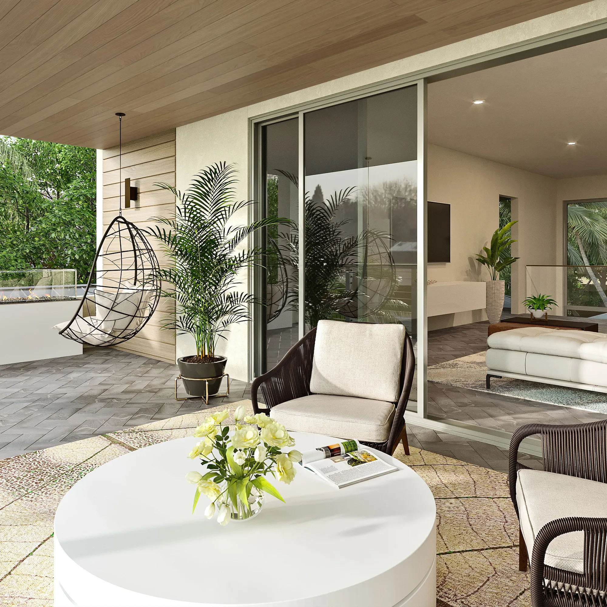 blog cocounutpalmestate image2 1