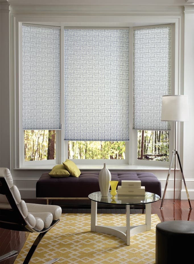Pleated Shades - Hunter_Douglas_Pleated_Shades_3