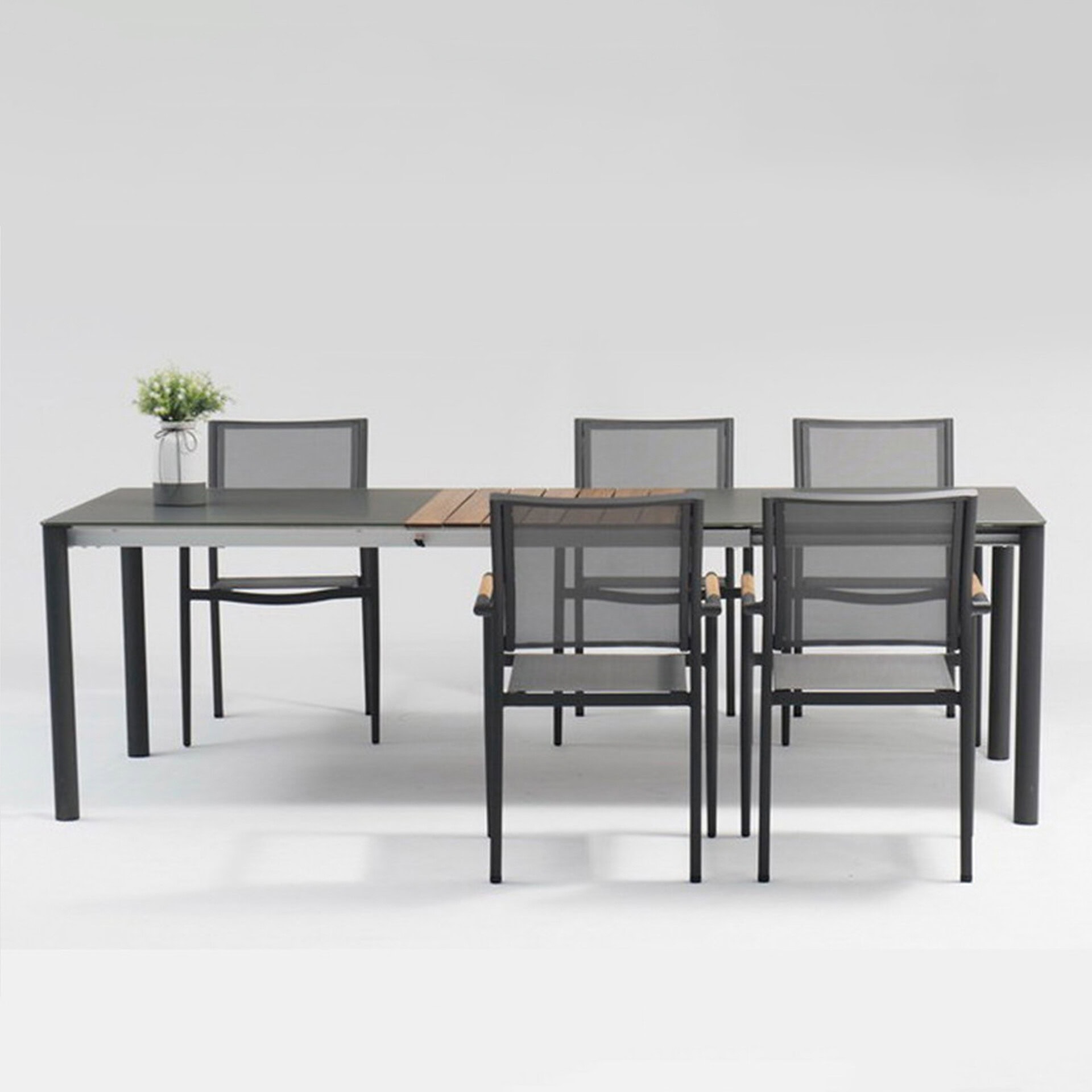 Modern dining table with six chairs and a small plant in a minimalist setting.