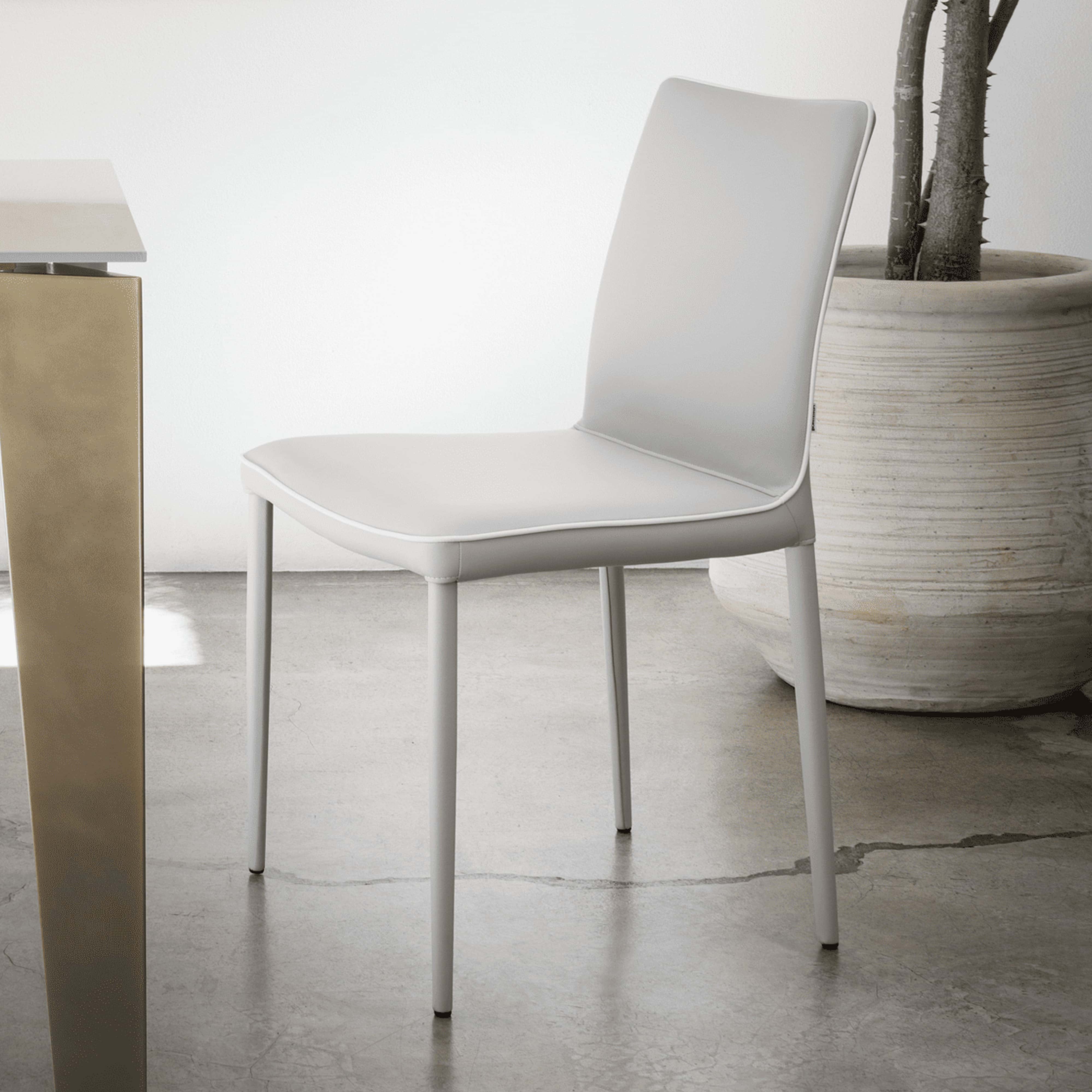 Amelie Dining Chair - bontempi-shefi-flex-dining-chair-featured