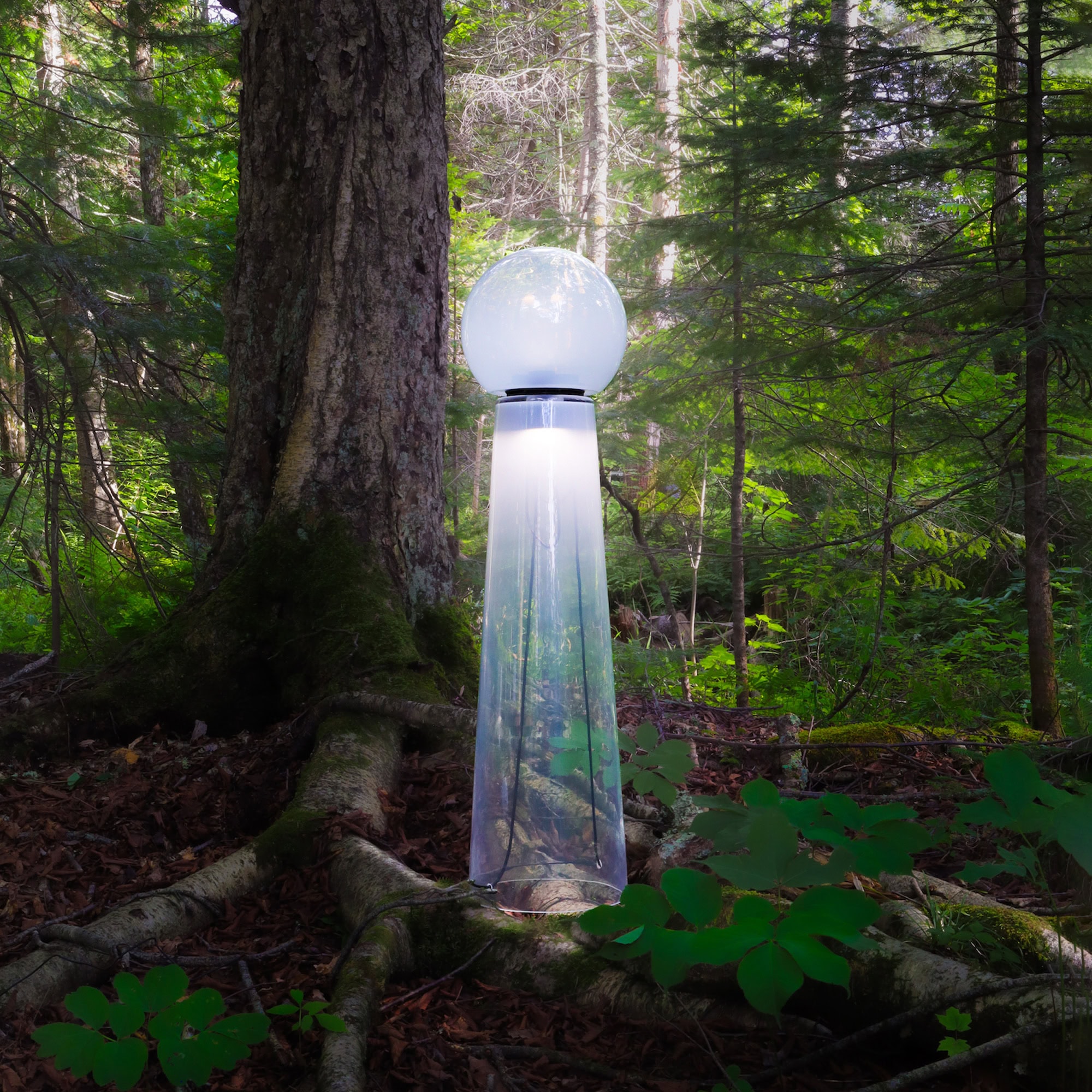 Modern outdoor lamp with spherical top and acrylic base in a forest setting.