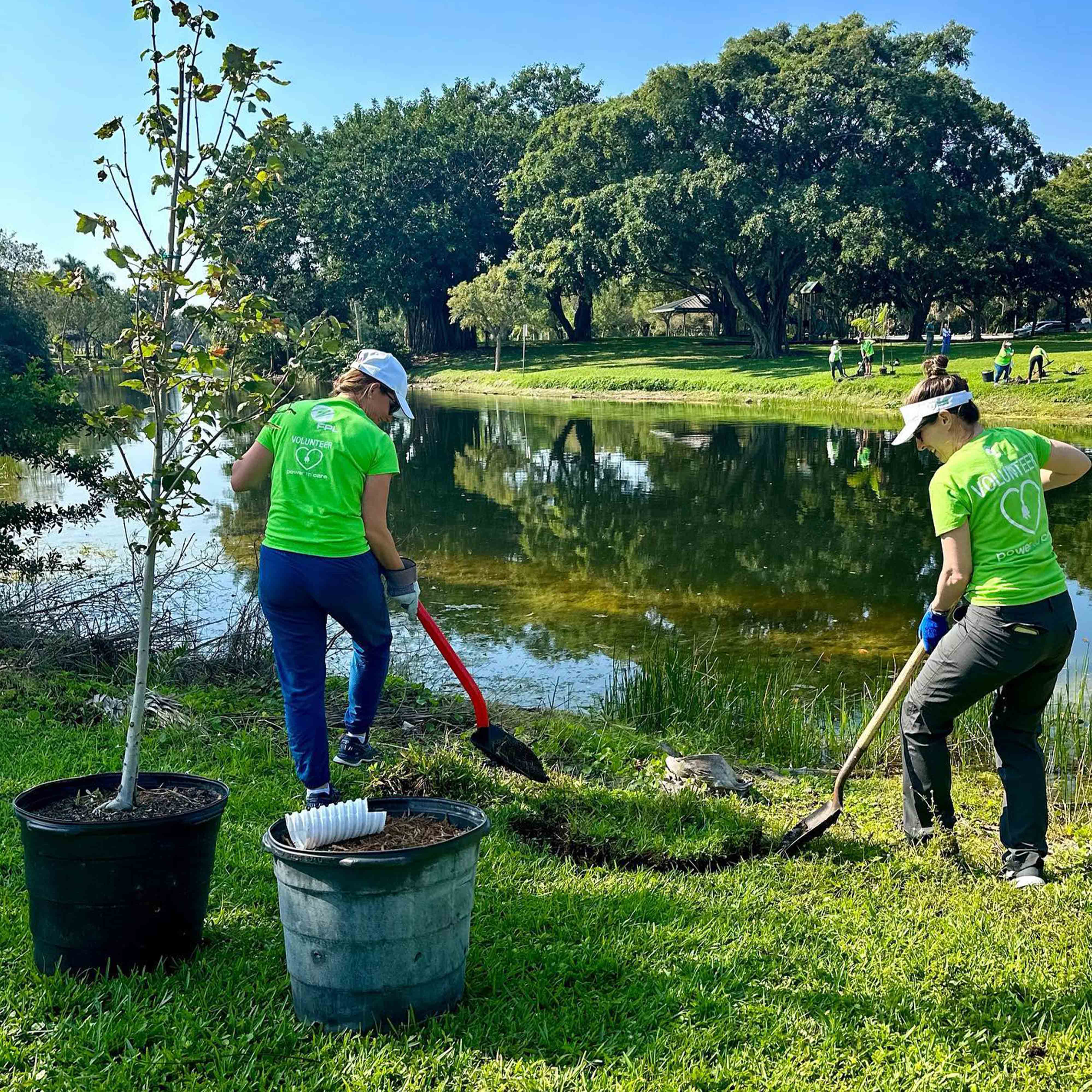 community greening blog other 3 | Sklar Furnishings