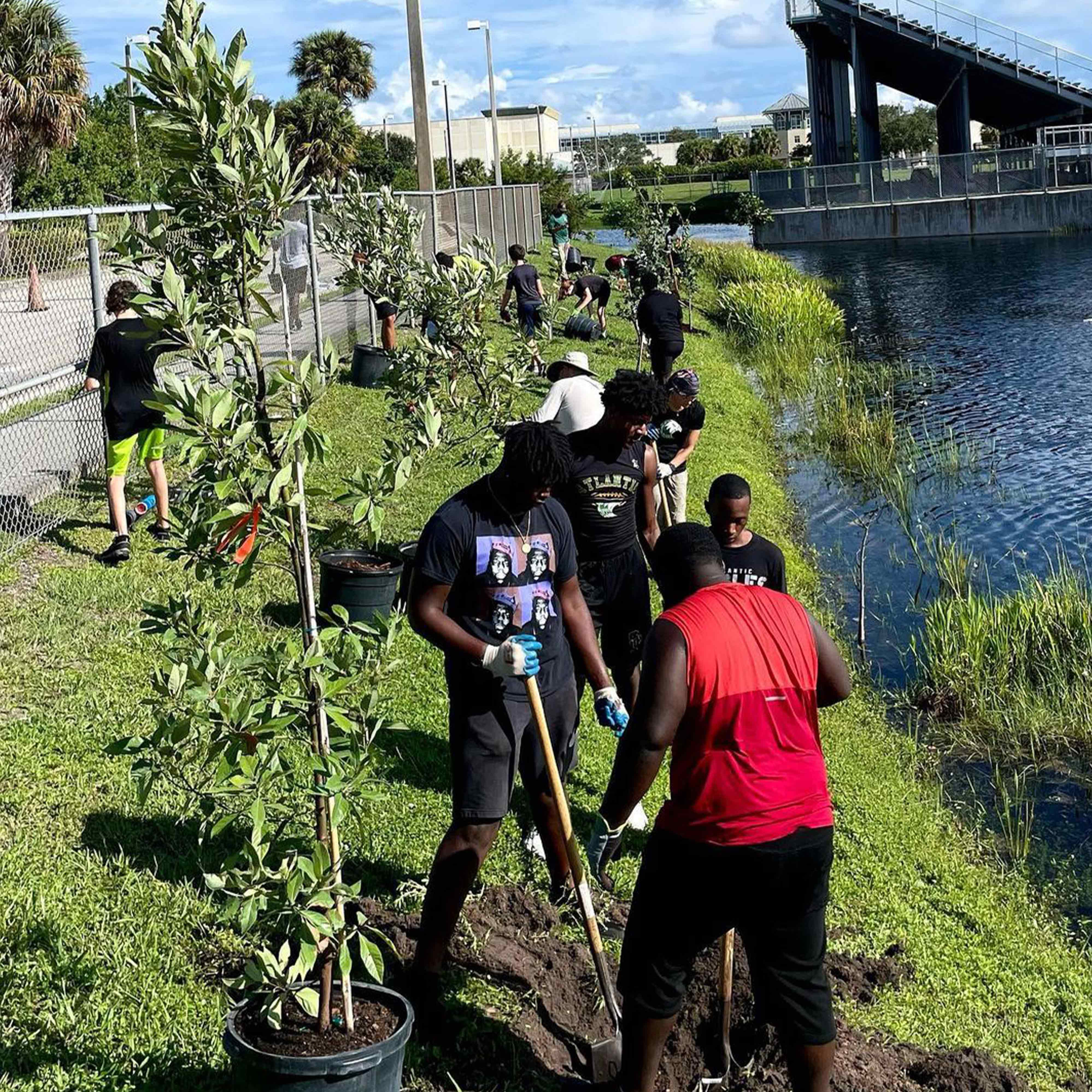 community greening blog otther 6 | Sklar Furnishings