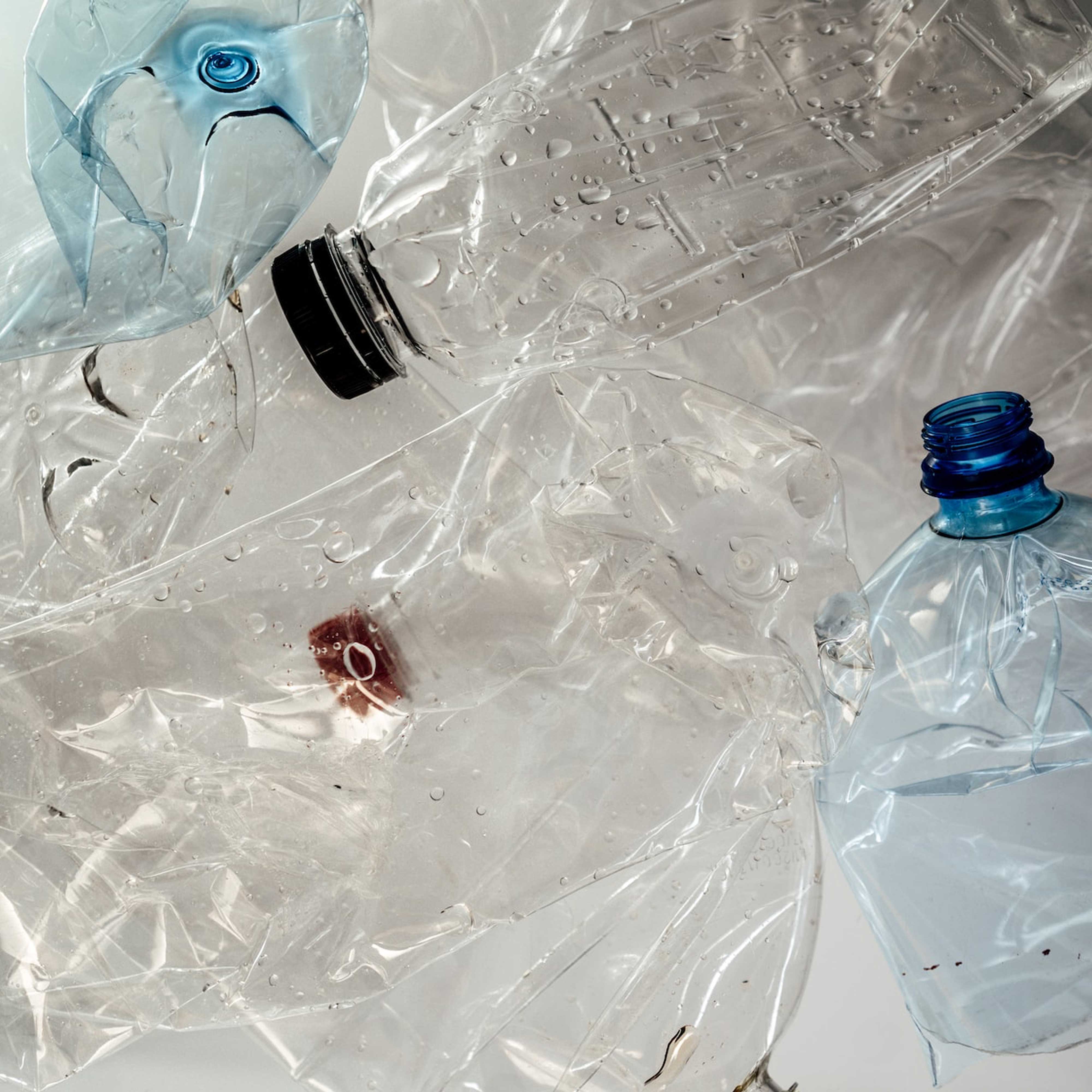 water bottle r pes | Sklar Furnishings