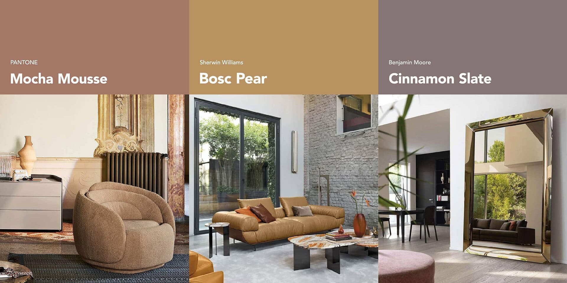 colors to watch for 2025 featured