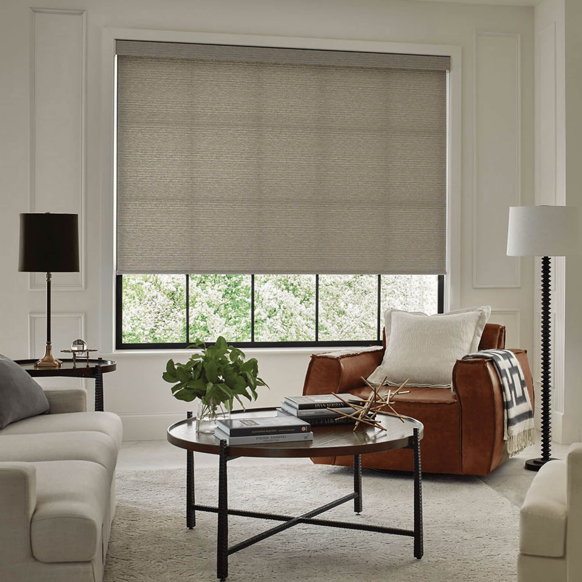 Designer Roller Shades - hunter-douglas-designer-roller-shades-2
