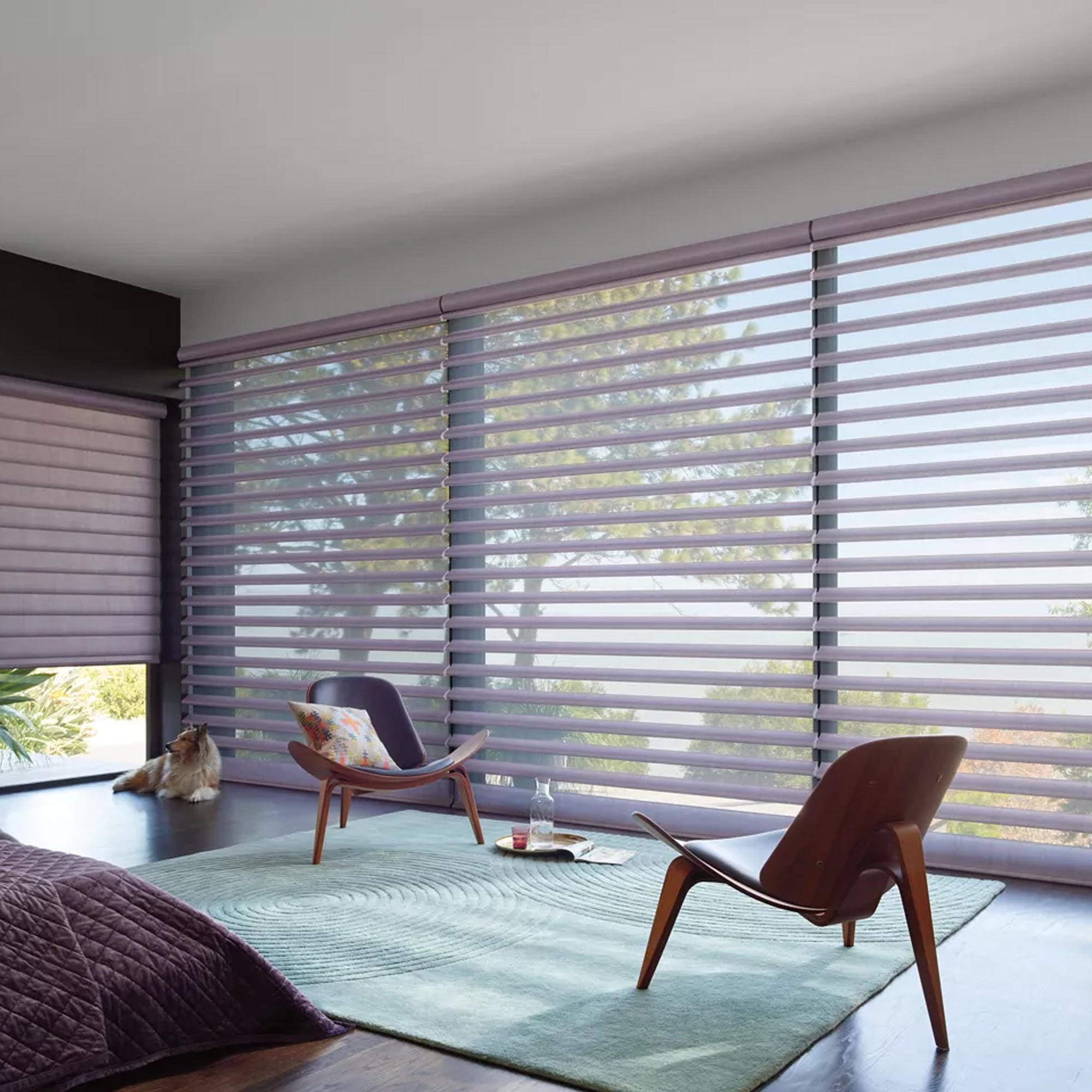 Pioruette Sheer Shades - hunter-douglas-pioruette-sheer-shades-5