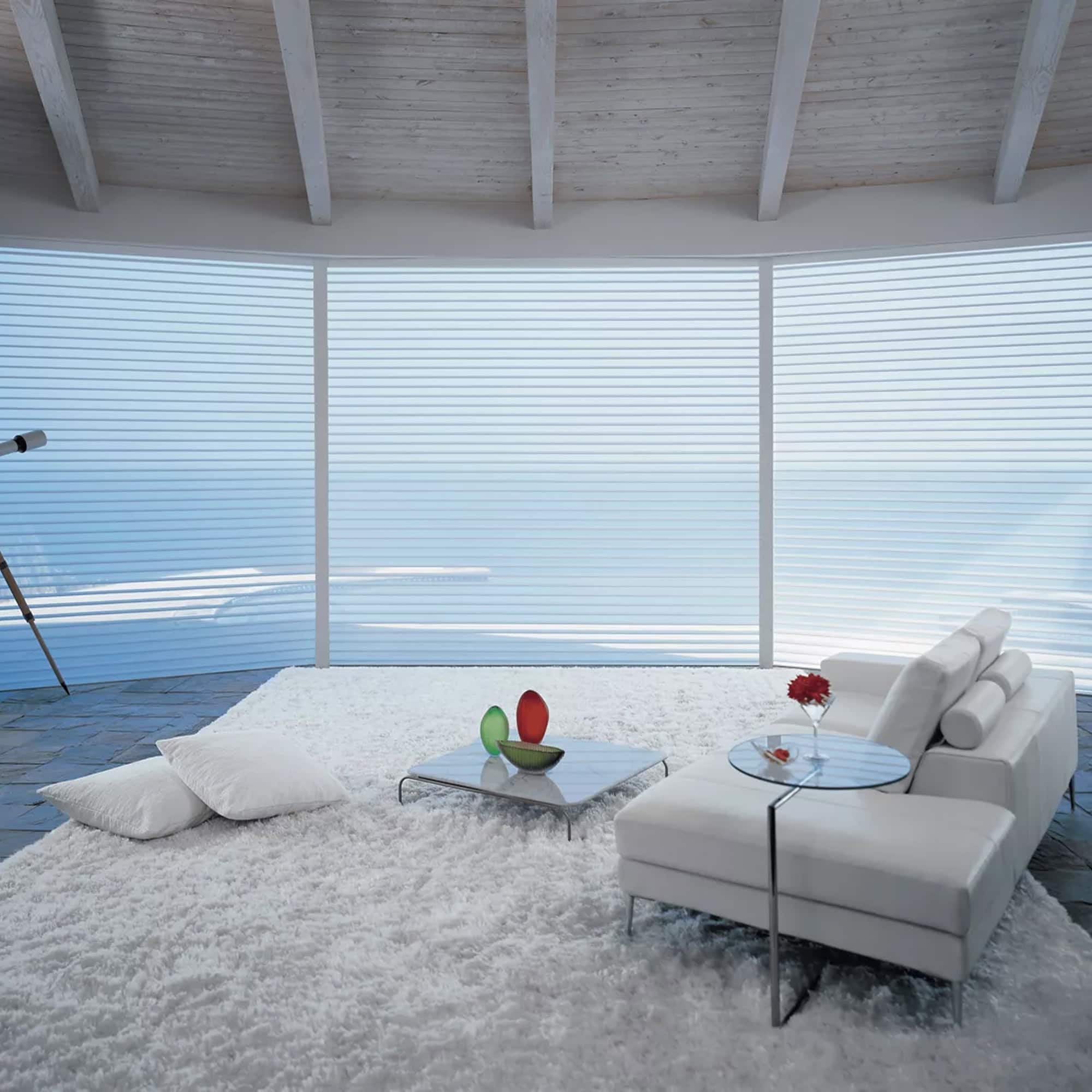 Silhouette Sheer Shades - hunter-douglas-silhouette-sheer-shades-3