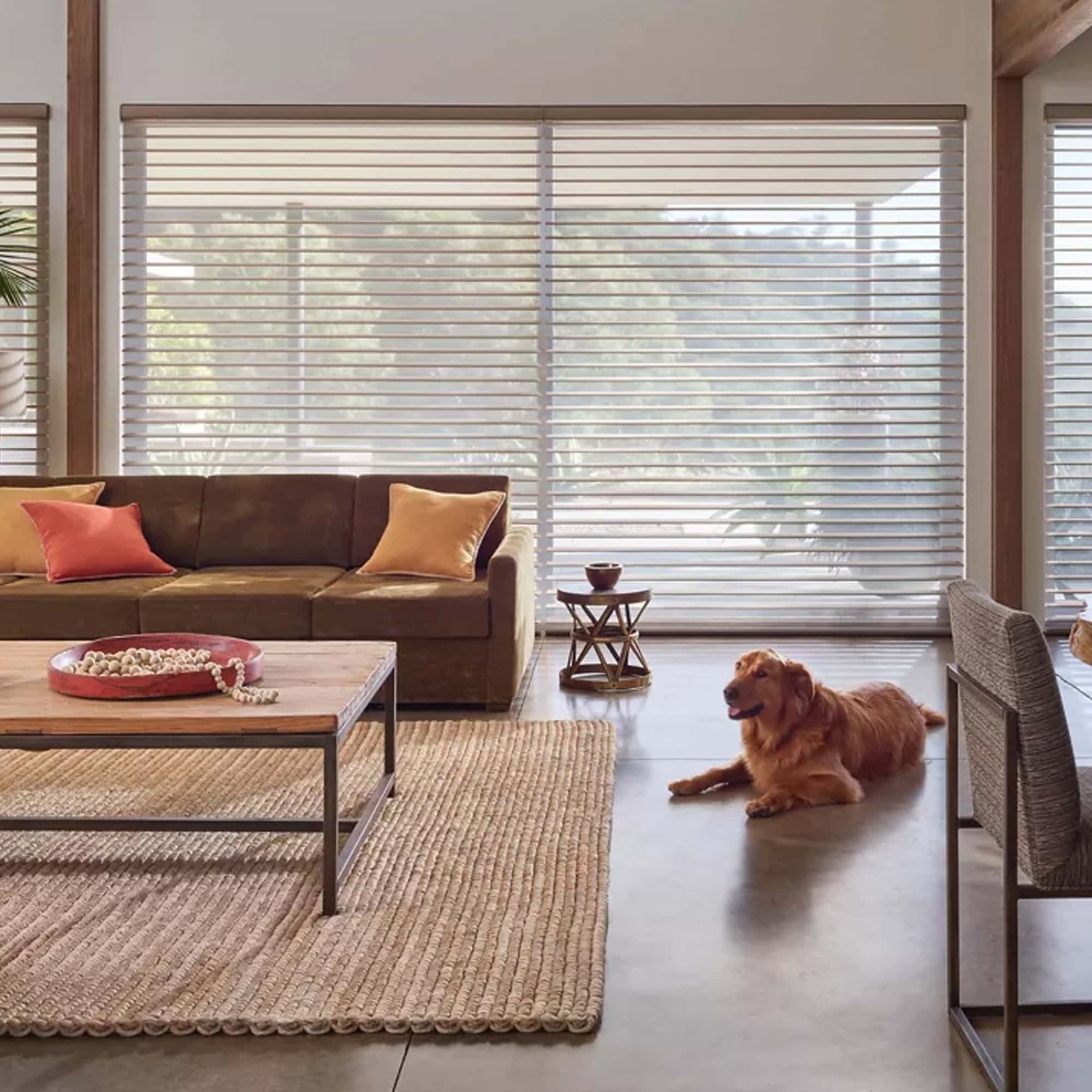 Silhouette Sheer Shades - hunter-douglas-silhouette-sheer-shades-4