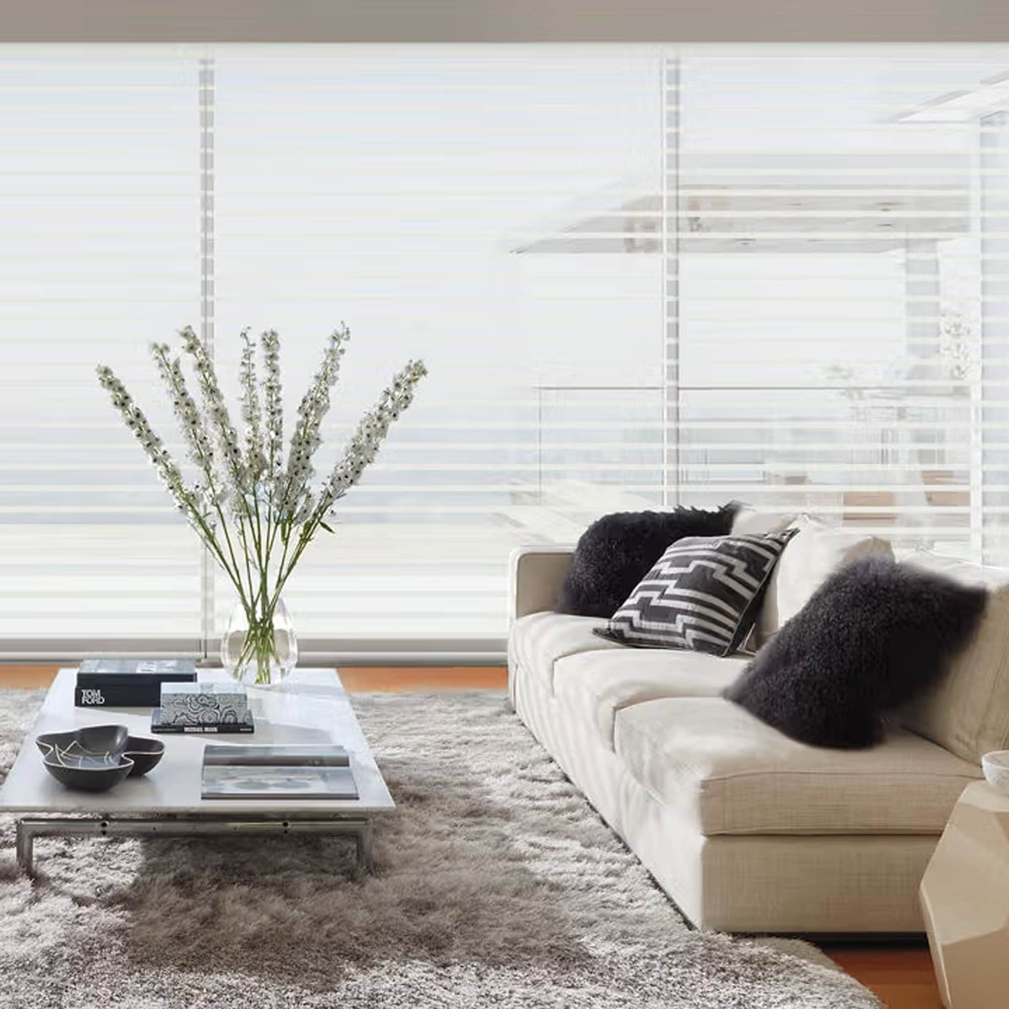 Silhouette Sheer Shades - hunter-douglas-silhouette-sheer-shades-6