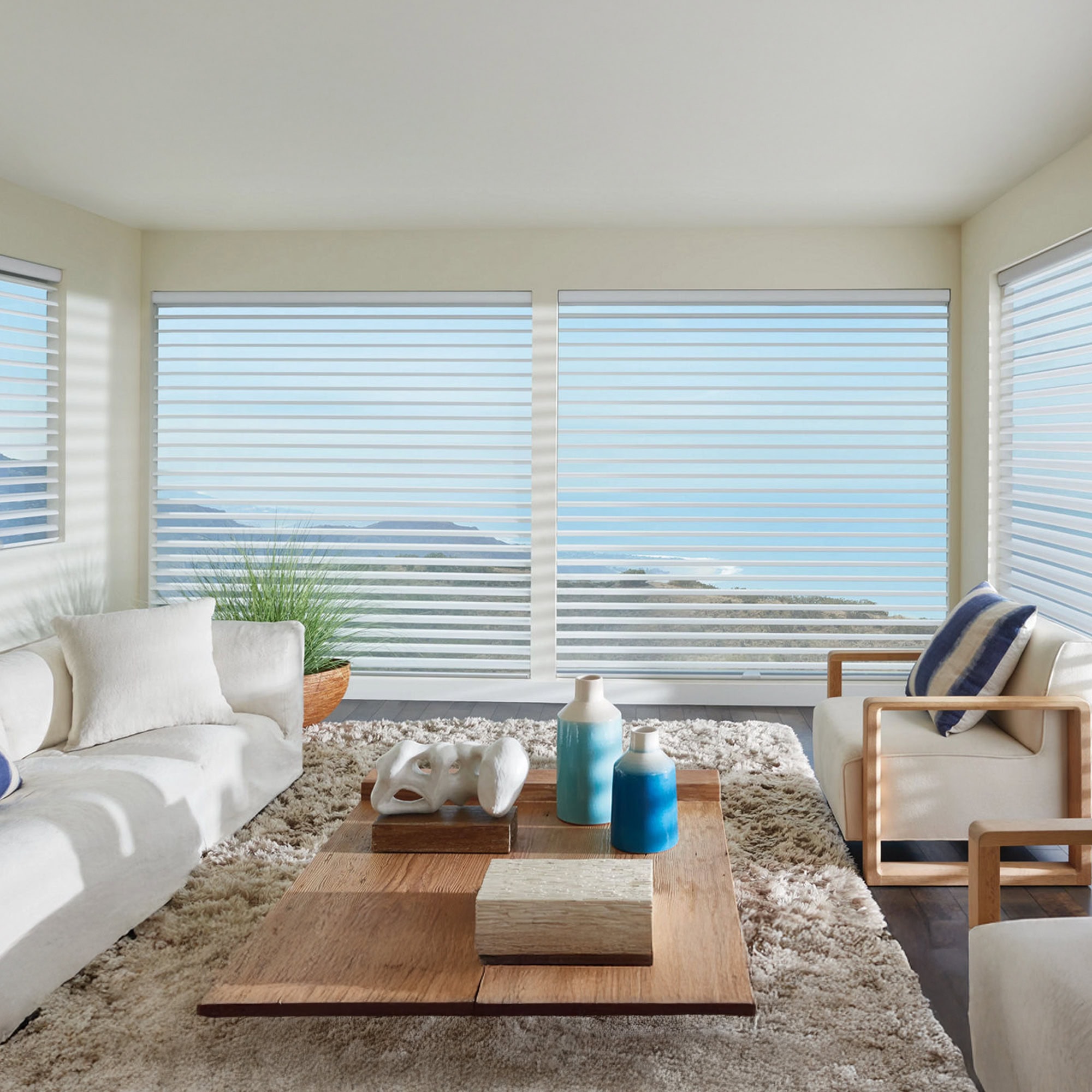 Sonnette Cellular Roller Shades - hunterdouglas-silhouettesheershades-1