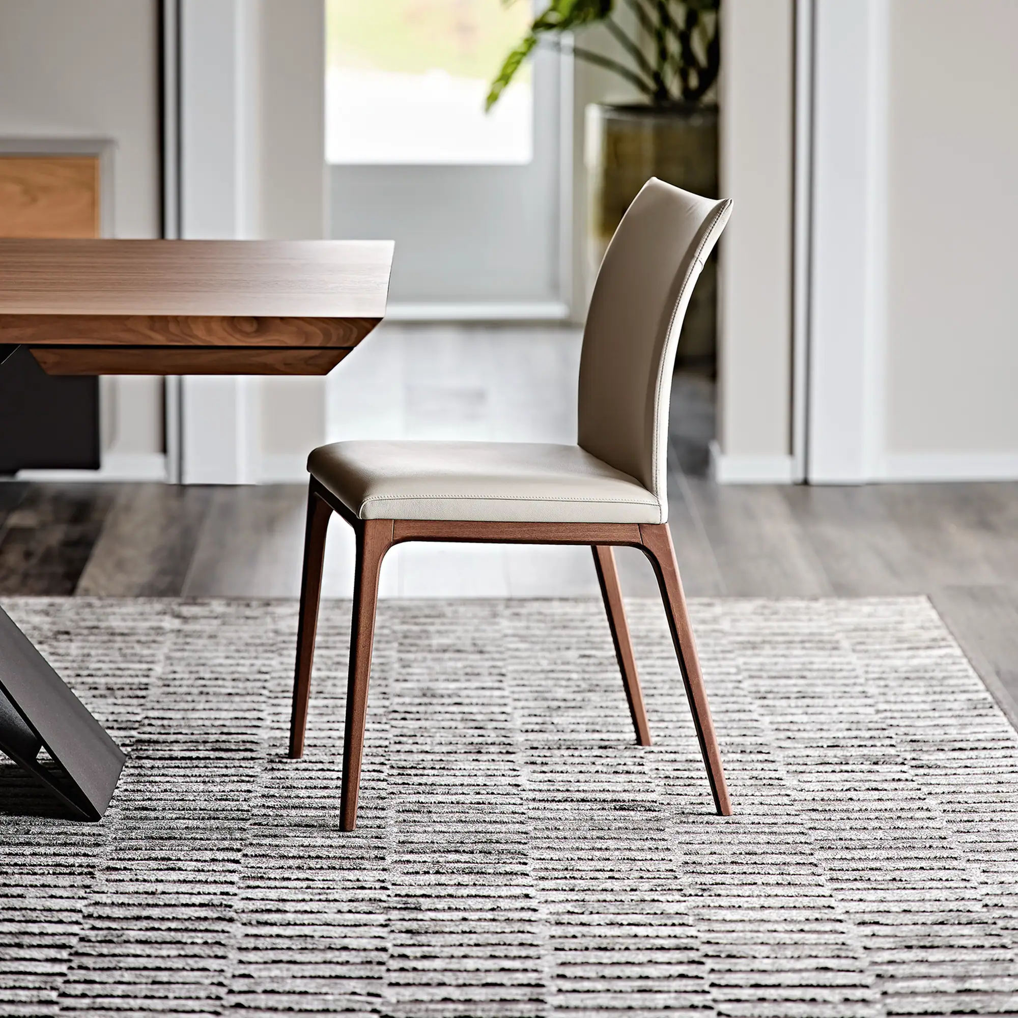 Arcadia Low Back Dining Chair in soft leather Cenere with Canaletto walnut legs, front angled view in modern dining room