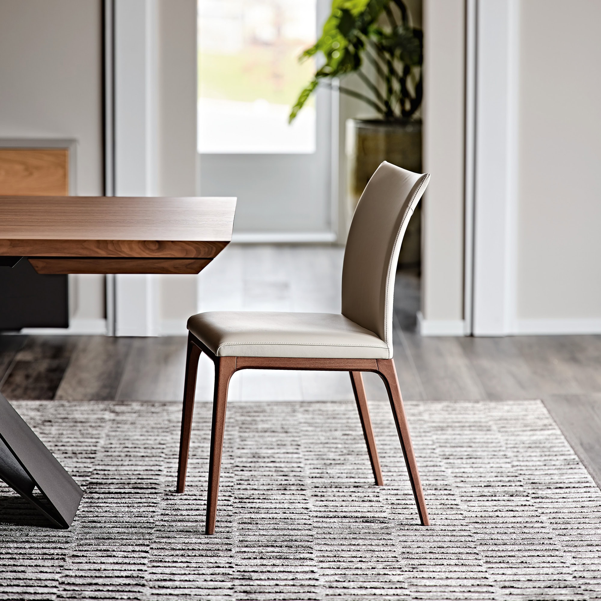 Arcadia Low Back Dining Chair in soft leather Cenere with Canaletto walnut legs, front angled view in modern dining room
