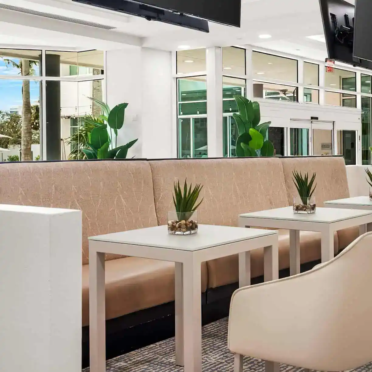 A Room With A Couch And Tables And Plants