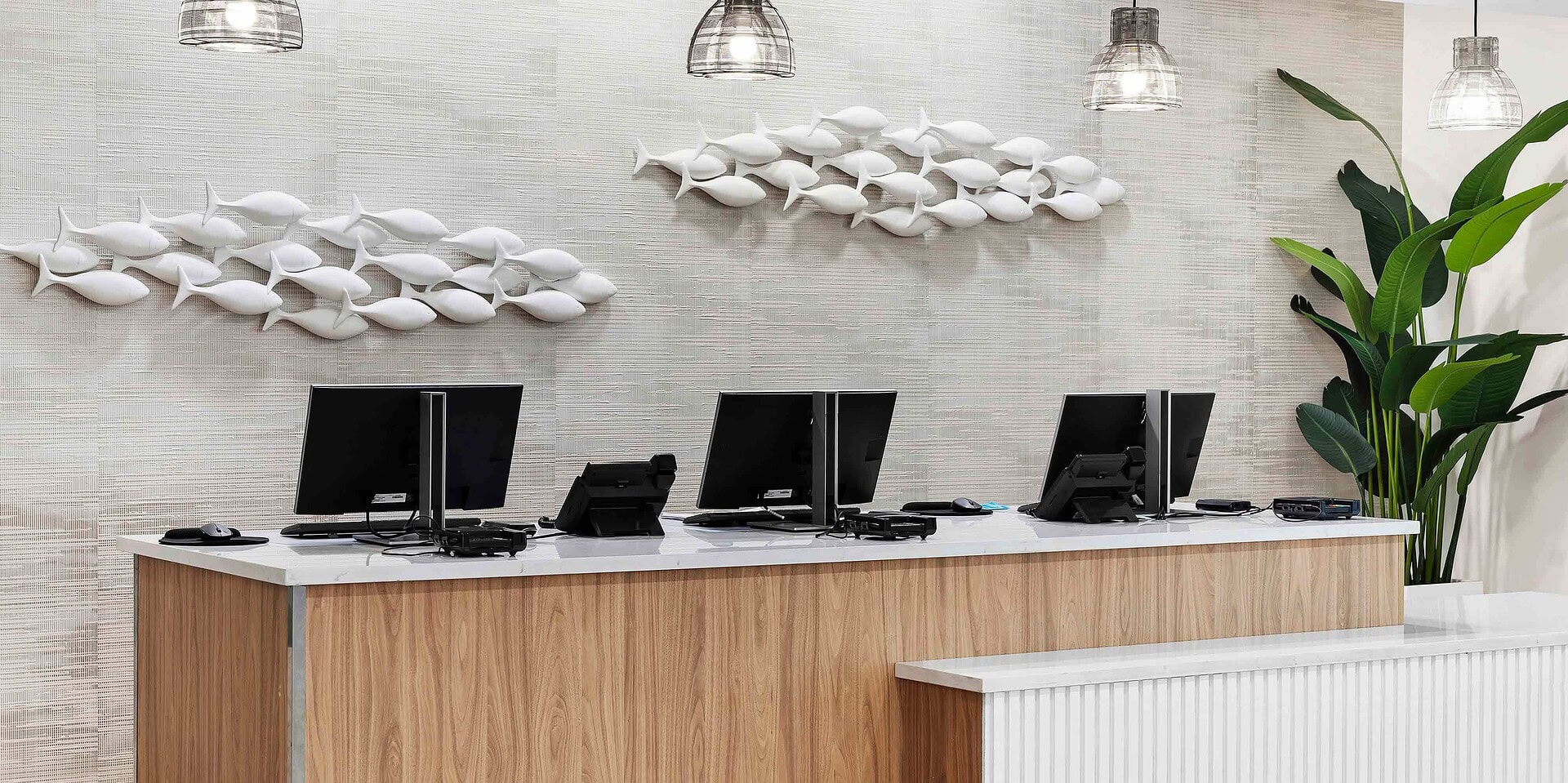 a desk with computers and a fish sculpture on the wall