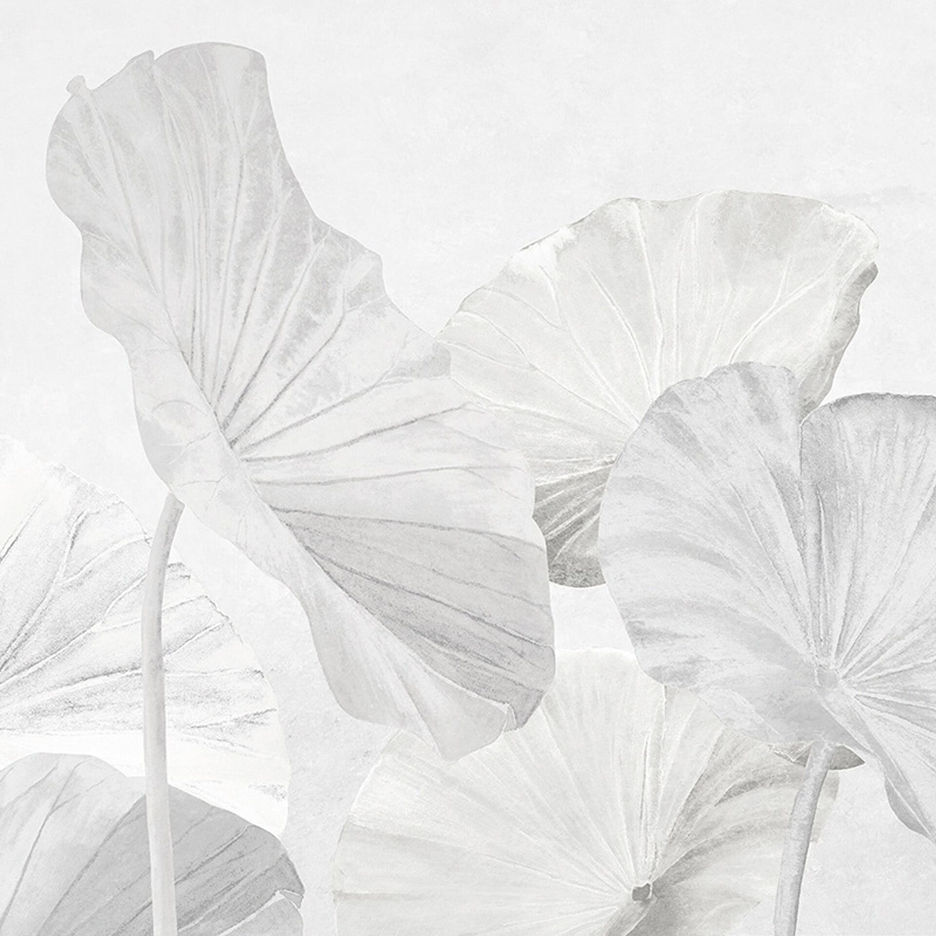 Close-up of Naiadi Wallpaper in pale whites and greys — light botanical design with soft, neutral tones for a minimalist style.