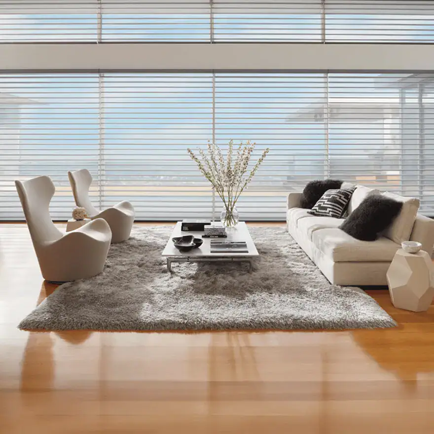 Contemporary living room with modern furniture and large window blinds, showcasing sleek home furnishing design.