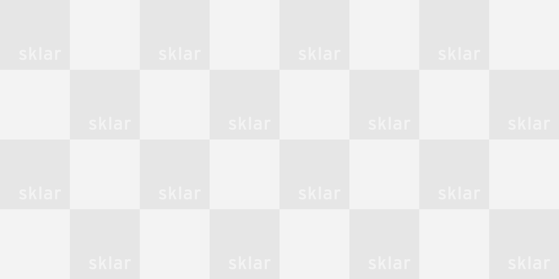 search placeholder 2x1 1
