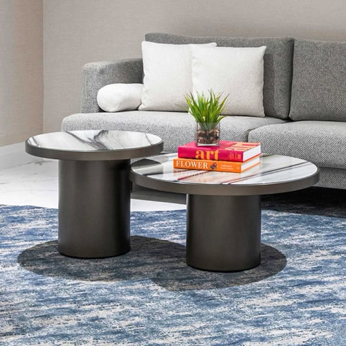 Modern grey sofa with marble-top coffee tables, decorative books, and a green plant in a glass vase.