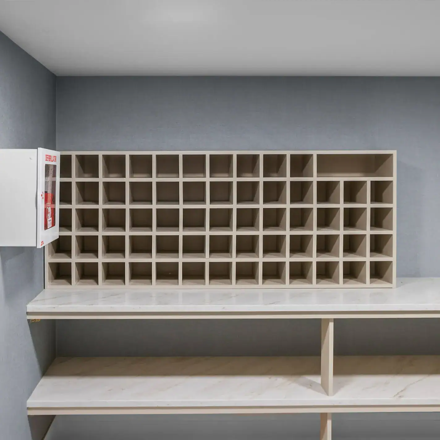Modern mail storage cubbies with sleek design and ample space for package organization.