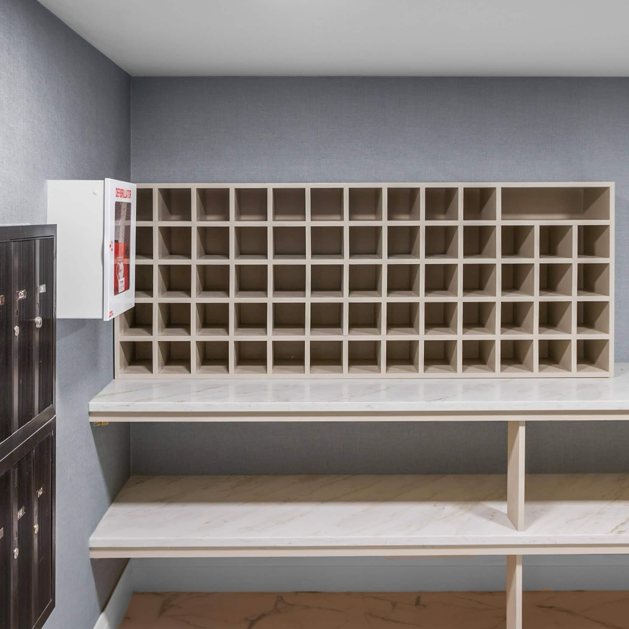 Modern mail storage cubbies with sleek design and ample space for package organization.