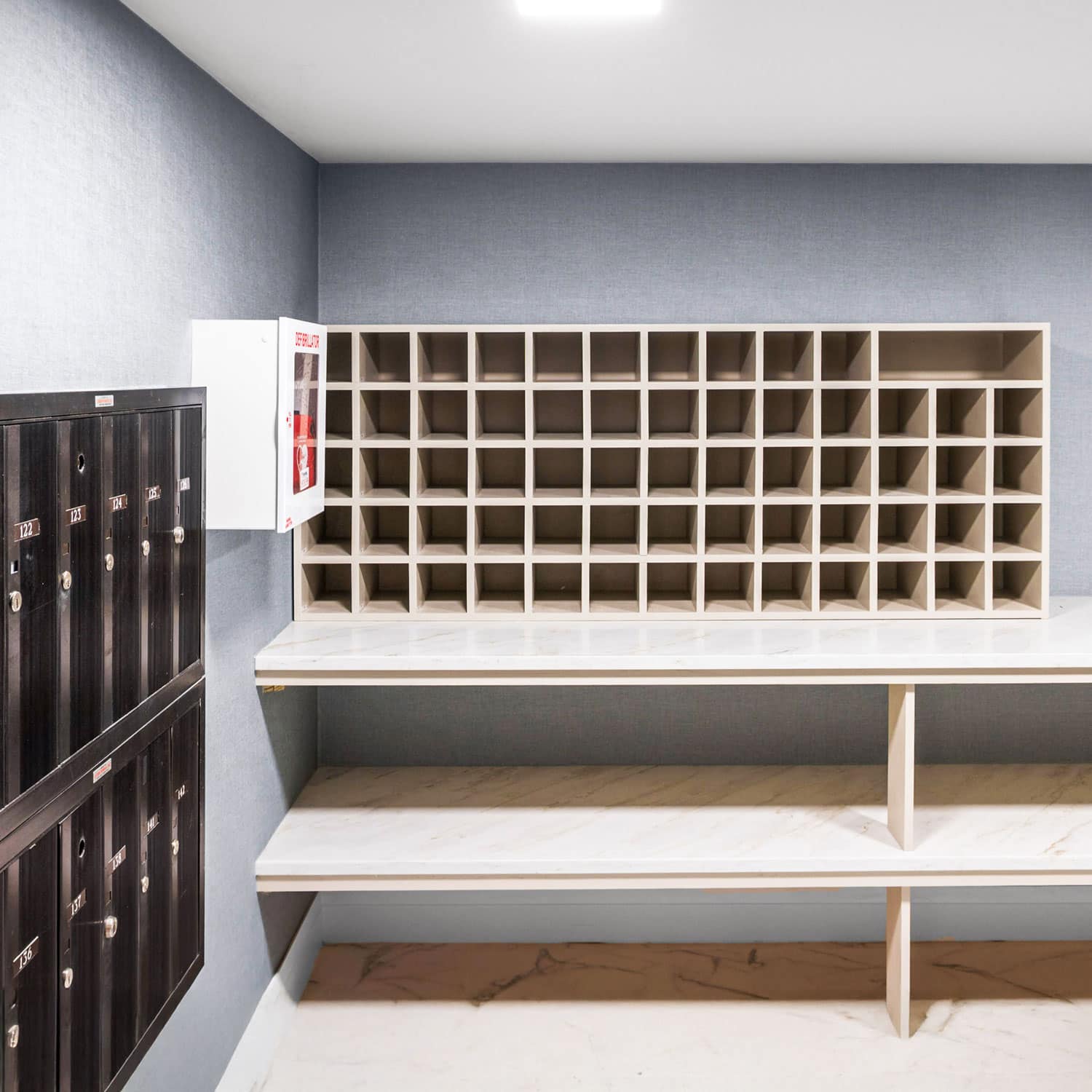 Modern mail storage cubbies with sleek design and ample space for package organization.