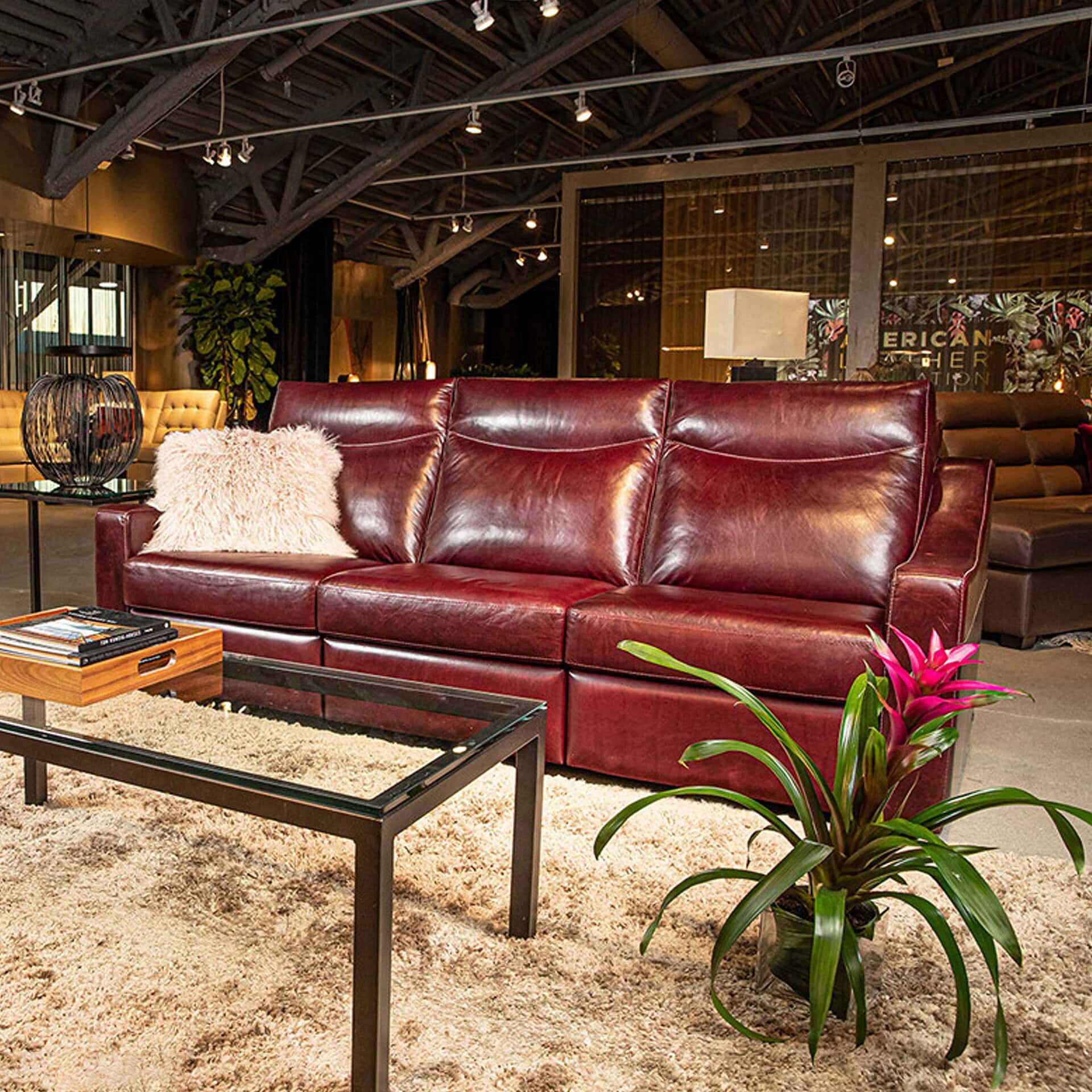 Elegant leather sofa in a modern showroom with a pink flower and cozy decor accents.
