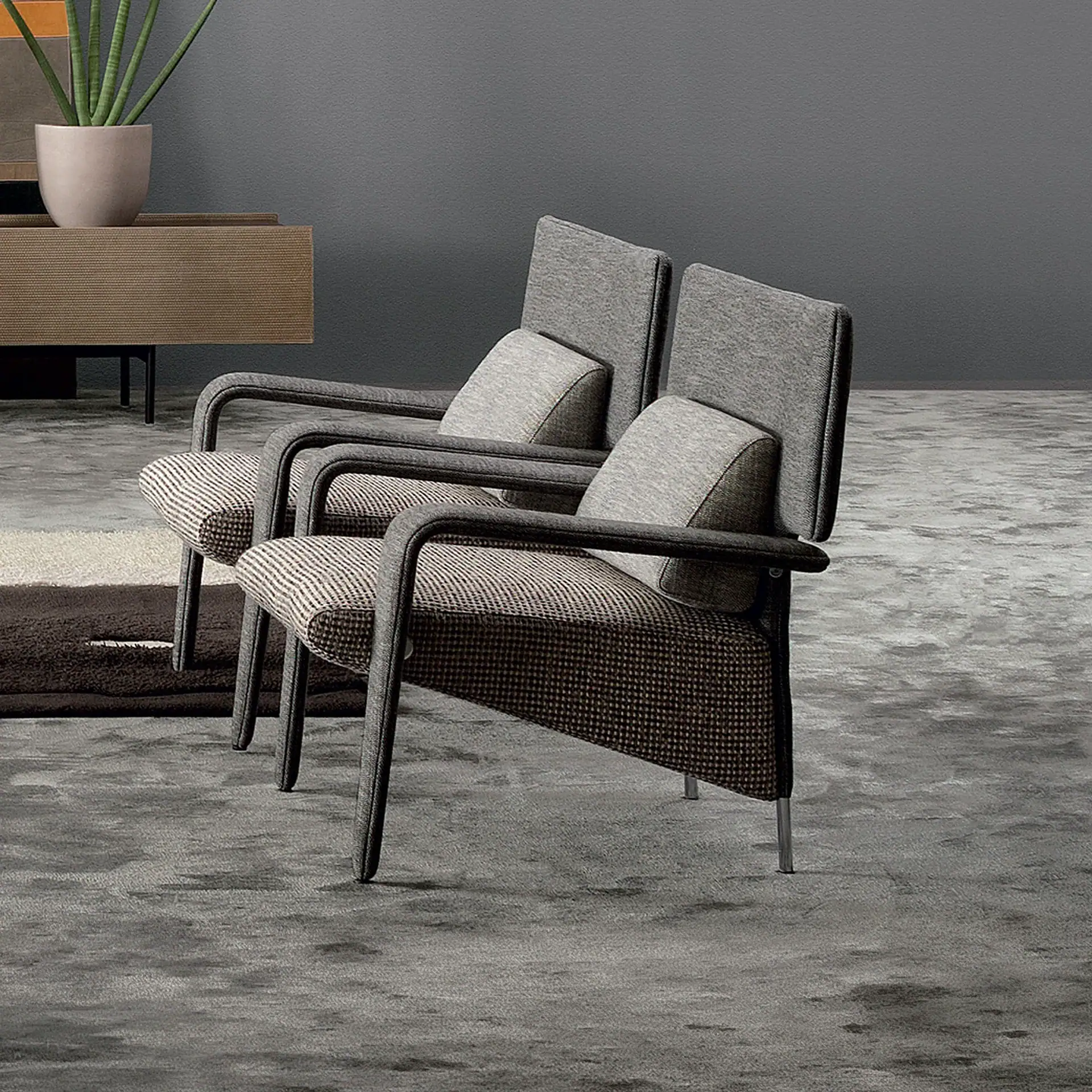 Two modern armchairs with grey and patterned upholstery, a snake plant on a console, and a grey rug in a minimalist room.