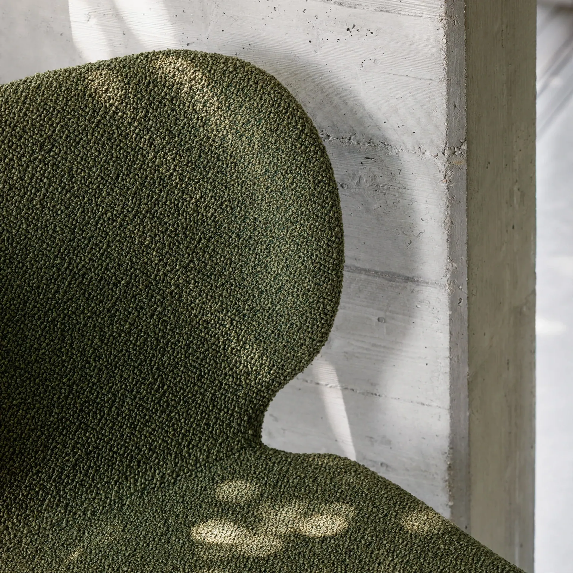 A dark green, bumpy textured object with an organic shape rests against a light grey concrete wall, with patches of sunlight on its surface.