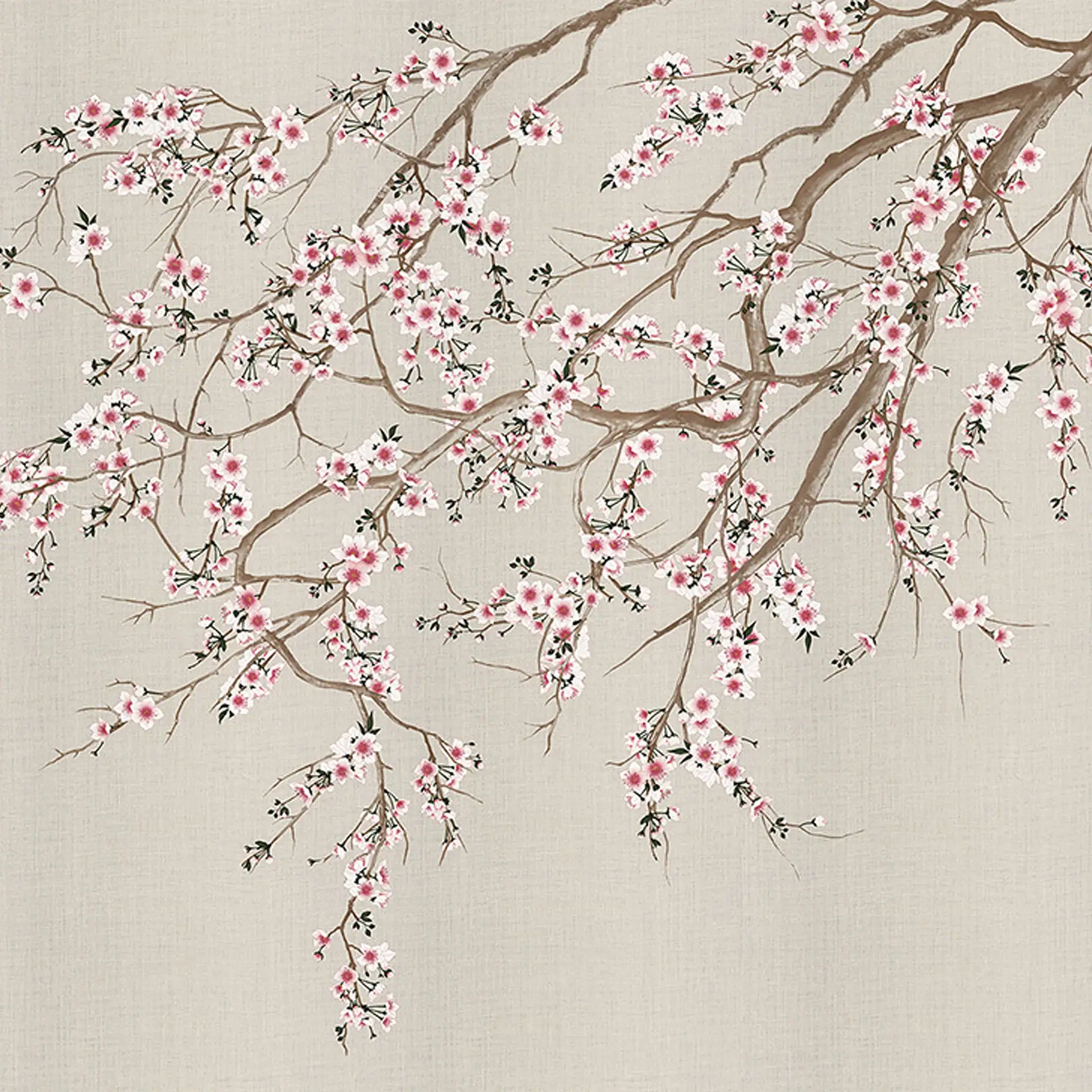 Digital painting of pink and white cherry blossoms on brown branches against a textured beige background.