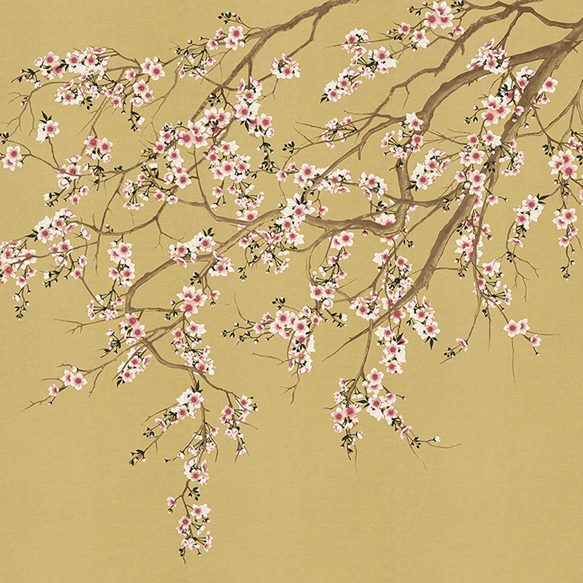 An illustration of pink and white cherry blossoms on brown branches against a golden-yellow background.