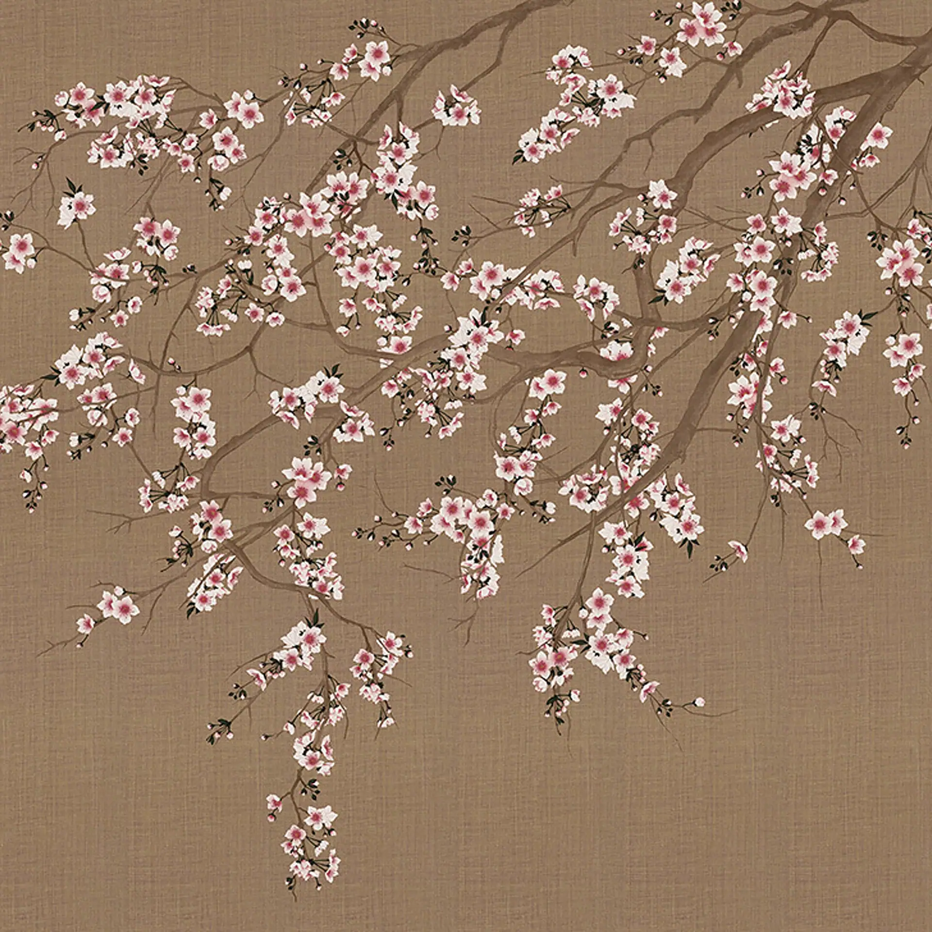Illustration of cherry blossom branches with pink and white flowers on a textured brown background.