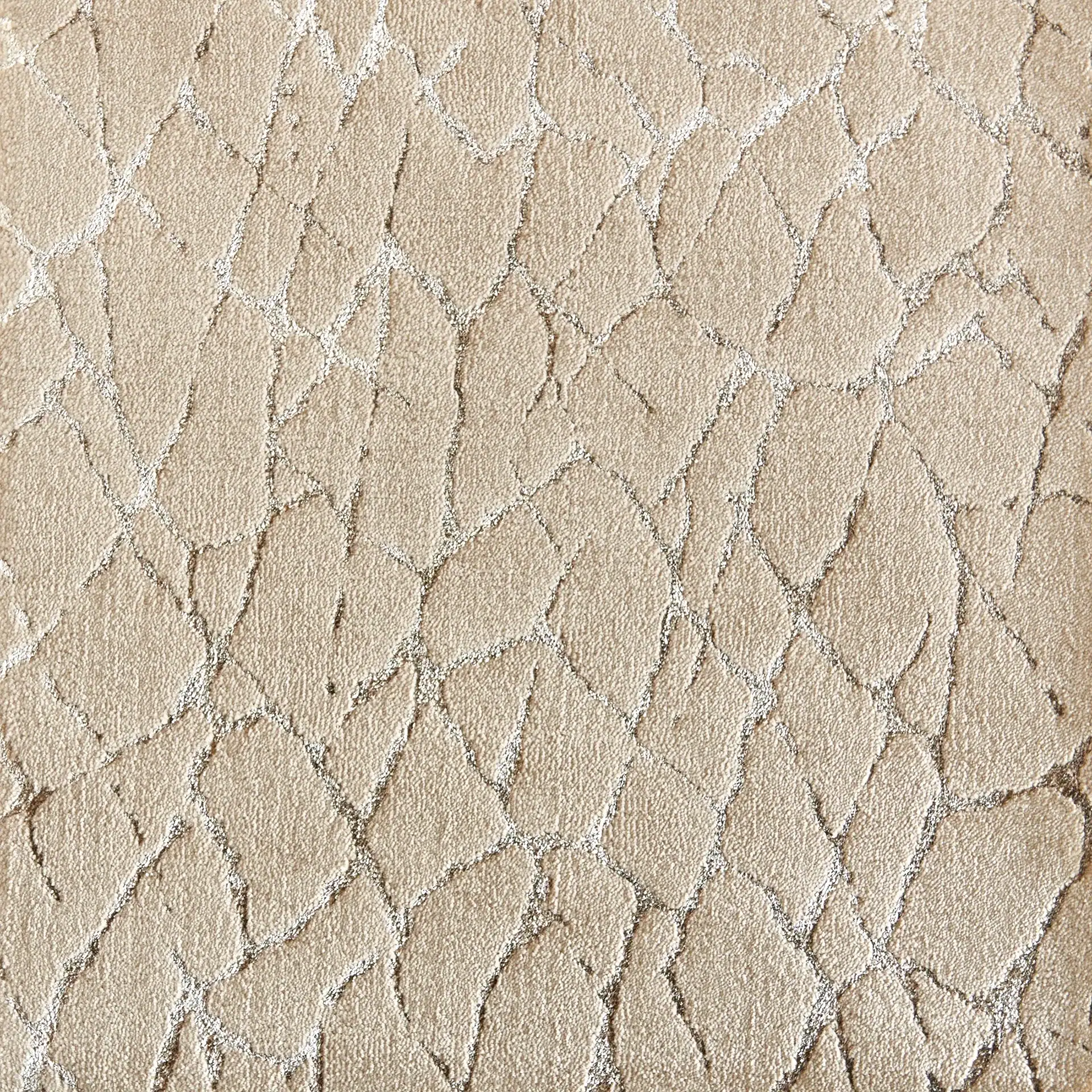 Close-up of a beige textured surface with an irregular, light-colored crack-like pattern.