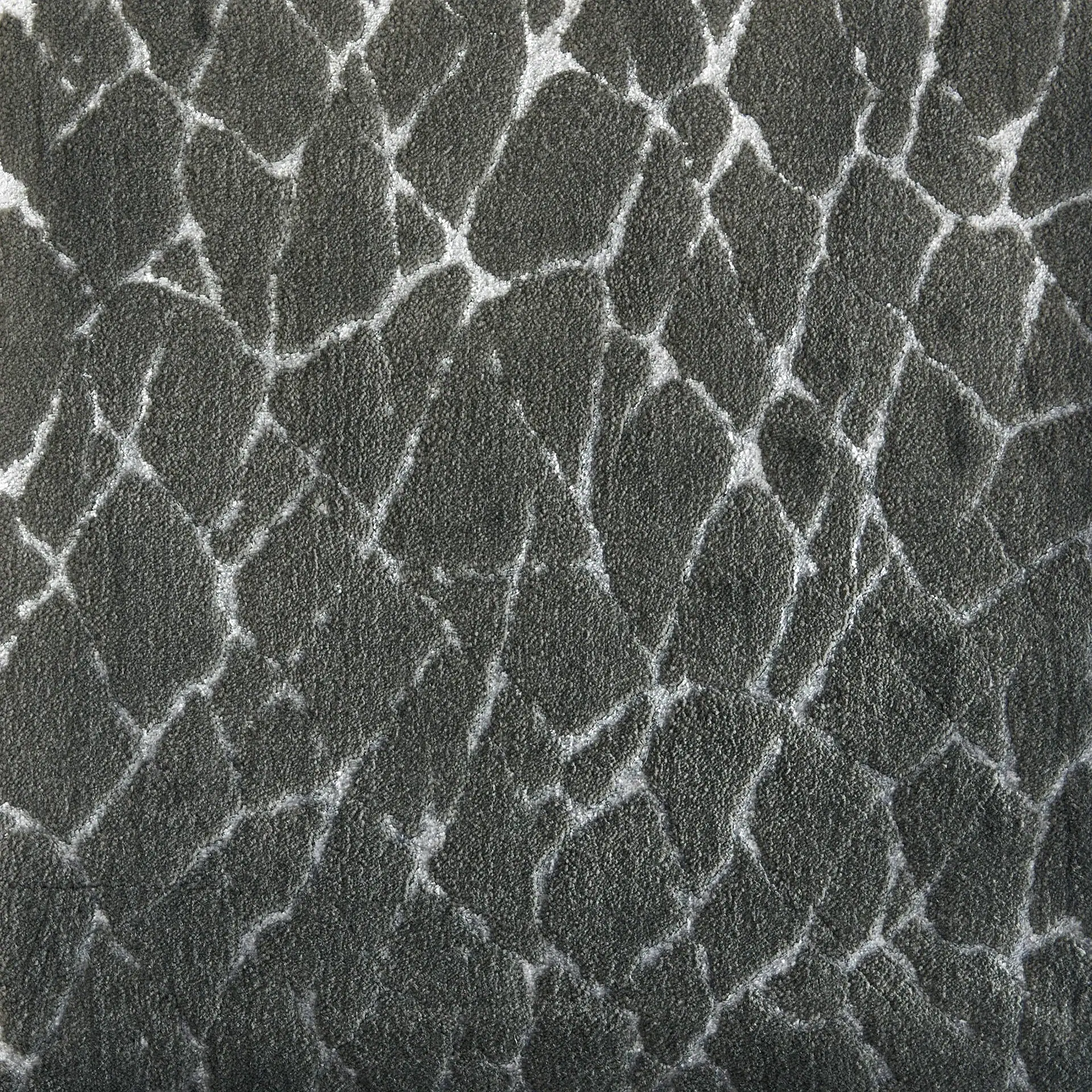 Close-up of a dark grey textured surface with an irregular, light grey cracked or mosaic pattern.