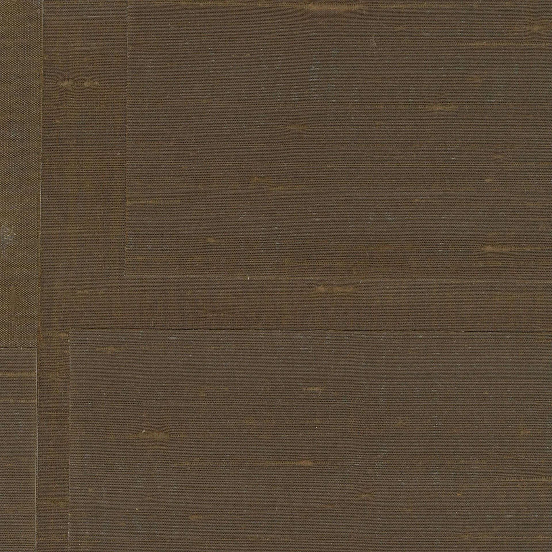 Transgression wallpaper texture in brown tones.